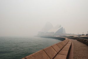 Sydney Bushfire Smoke