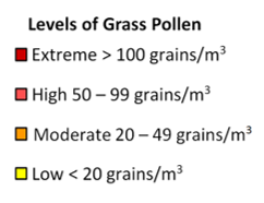 grass pollen levels