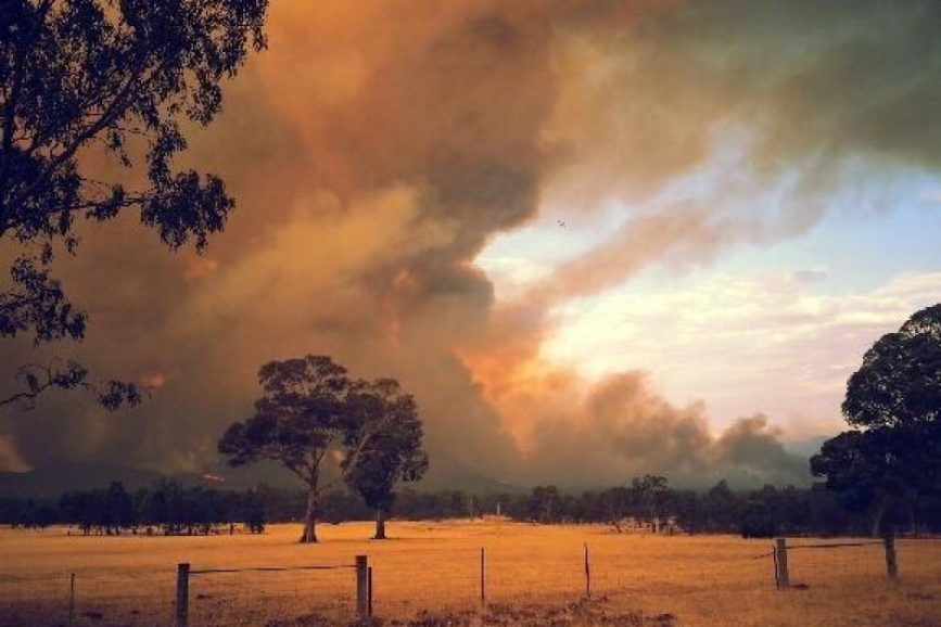 New study confirms bushfire smoke toxic for asthma attacks Asthma