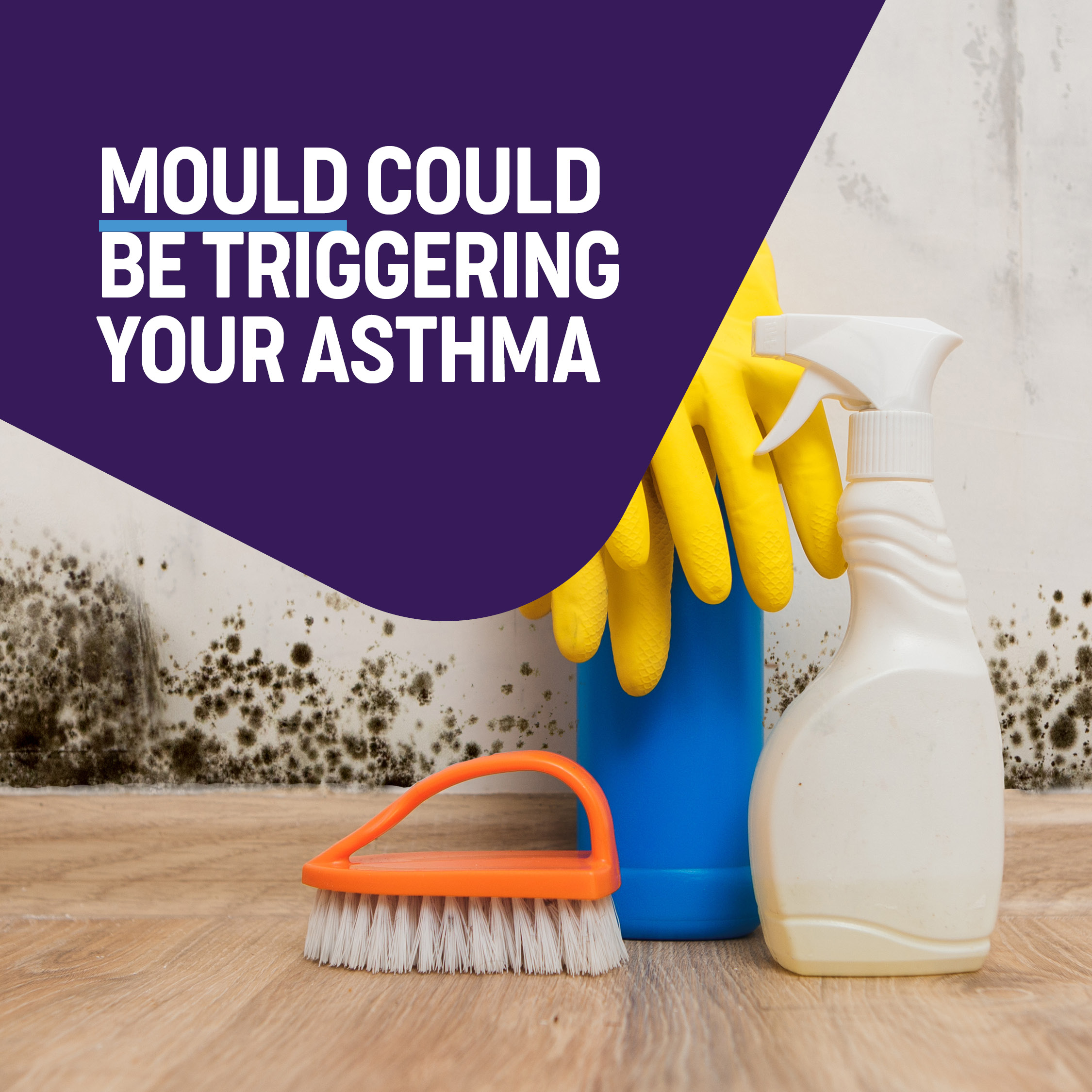 mould-and-how-to-reduce-the-risk-of-asthma-symptoms-asthma-australia