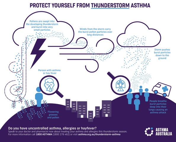 Thunderstorm Asthma Infographic