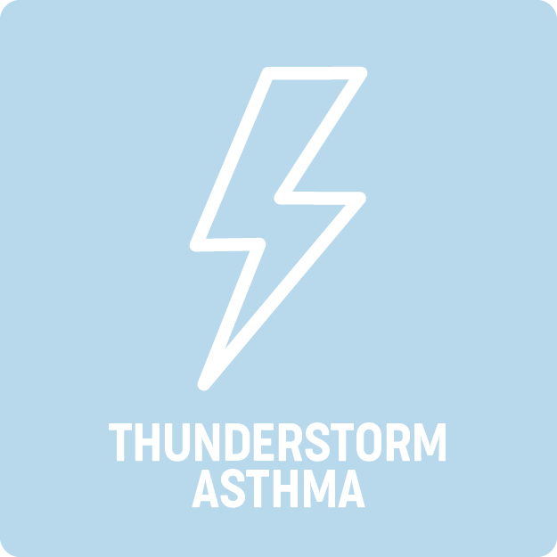 Thunderstorm asthma