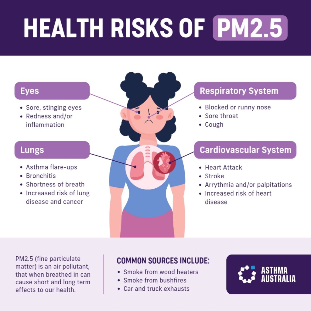 Health Risk of PM2.5